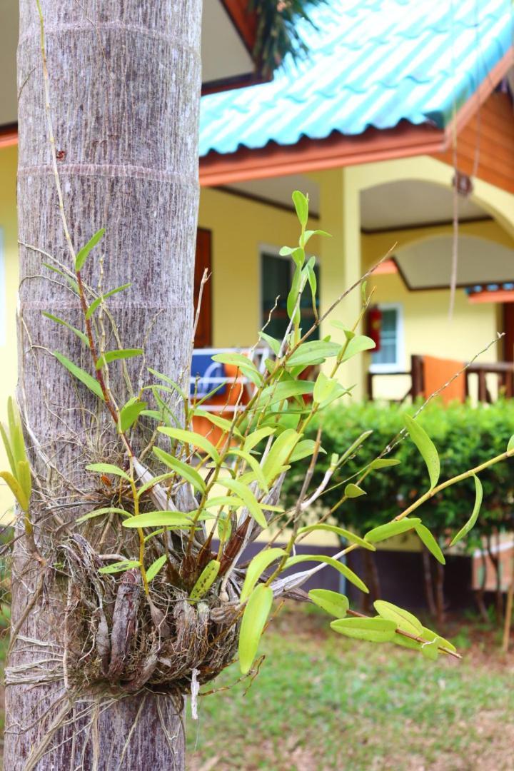 Baanrimklong Bungalow Ко Чанг Экстерьер фото