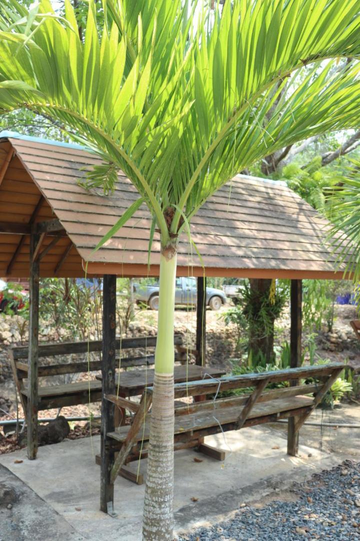 Baanrimklong Bungalow Ко Чанг Номер фото